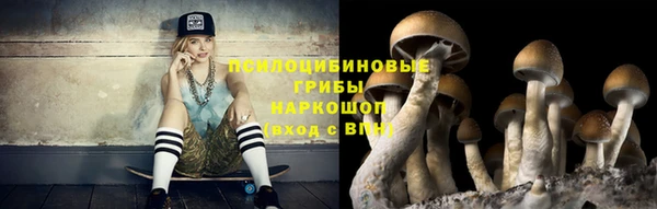 винт Балахна
