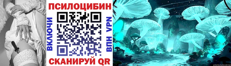 Купить  Кукмор  Галлюциногенные грибы GOLDEN TEACHER 